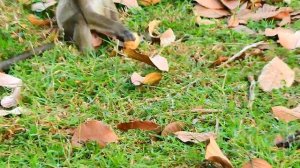 Tiny ..! Blaze  Very Breaking Hot Time To Mum Brinn Millions Reject Baby Don't Give Milk To Baby