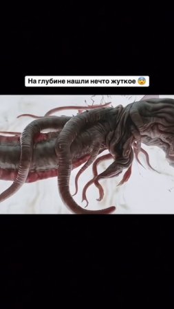 Нашли жуть на дне