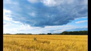 Франческо Петрарка.  Один, в раздумье, средь пустых полей#стихиолюбви#зарубежнаялитература