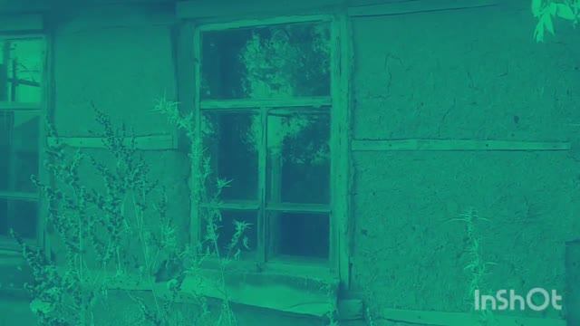дом с привидениями, дом всиляющий страх