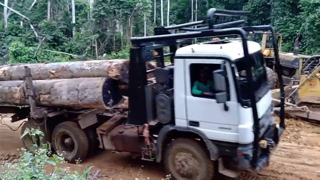 perjuangan driver logging mercy Actros 4043