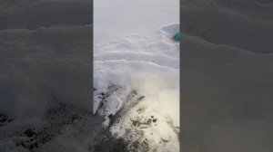 Торпеда первый запуск.mp4