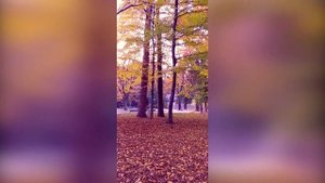 ТРУСКАВЕЦ сегодня