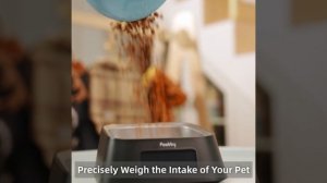 Pawbby Smart Bowl｜Get Started A Healthier Life For Your Pet