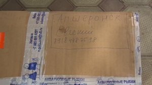 Влияние корма на здоровье дискусов