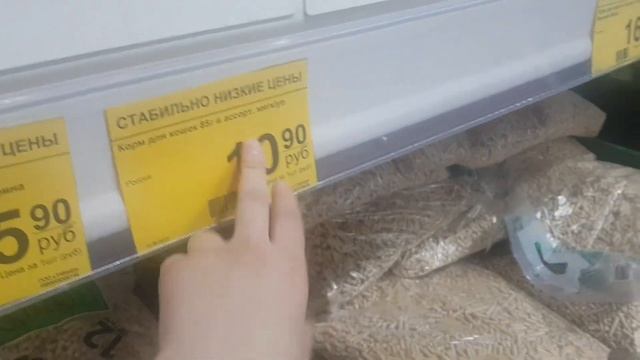 VLOG: ПОЕЗДКА НА ПРИРОДУ И ПОХОД В МАГАЗИН 02.07.2023