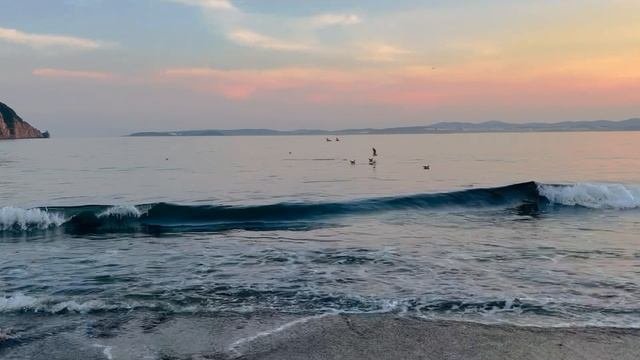 Красота#море#Владивосток 2024