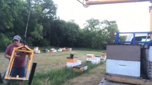 Усовершенствование манипулятора для работы с 4-х местными поддонами (Фил Велдхуис, Канада)