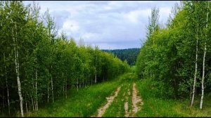 Притча о блудном сыне  Евангелие  #Евангелие #притчи