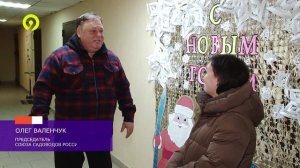 Давеча | 22.01.2025 | Конкурс на украшение домов