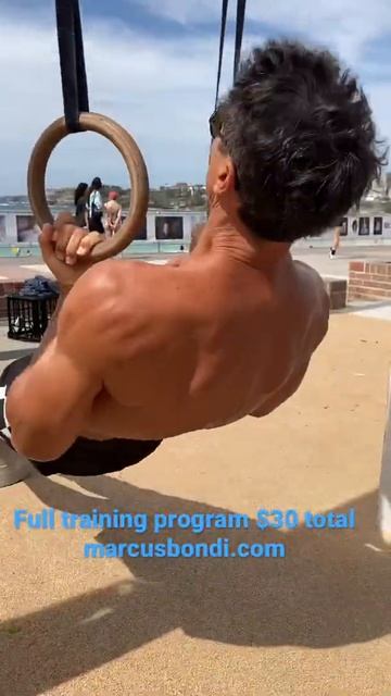 Try these Full ROTATION BODYWEIGHT ROWS ON OLYMPIC RINGS - superb strong full arm muscle activation