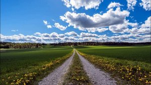 А  Твардовский  Вся суть в одном - единственном завете #философскаялирика #поэты20века