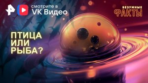 Птица или рыба? — Безумные факты (22.01.2025)