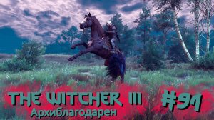 Архиблагодарен | The Witcher 3 / Ведьмак 3 #091 [Прохождение] | Play GH