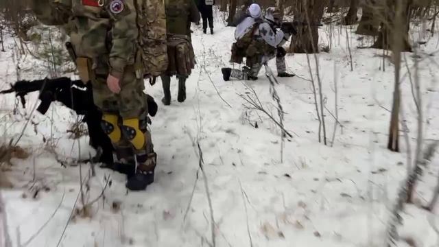 ДРГ "Зимний лес"