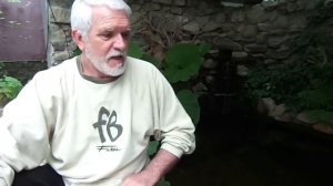 Фильтрация воды в пруду.