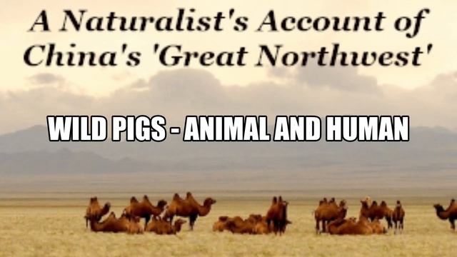 Across Mongolian Plains by Roy Chapman Andrews 18 Full Audiobook смотреть онлайн