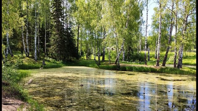 С  Есенин  Топи да болота  #стихиородине #поэтысеребряноговека