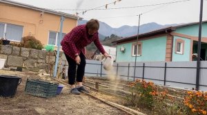 ПОДГОТОВКА СЕМЯН К ПОСЕВУ! ДОБЫВАЕМ ЧЕРНУШКУ ЛУКА. КАК ОТДЕЛИТЬ ЧЕРНУШКУ ОТ ЦВЕТКА