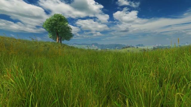 Живые обои для рабочего стола.(Grassland 3D Screensaver)Live Wallpapers for your desktop.
