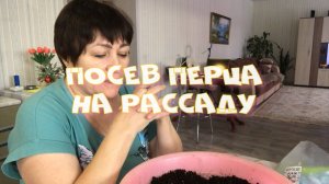 Подготовка земли к посеву перца Посев перца на рассаду