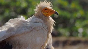 12266442-uhd_3840_2160_30fps