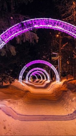 С наступающим 2025 годом, друзья