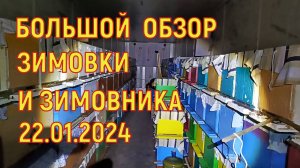Дозимуем ли до выставки? Большой осмотр зимовки и зимовника.