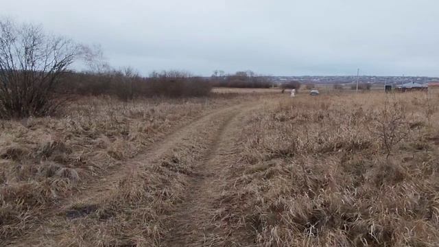 Погода новоживотинное на 3 дня