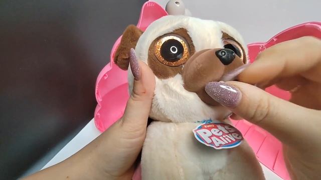 POOPING PUPPIES. Dog poops. #unboxing смотреть онлайн