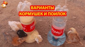 Куриные кормушки поилки варианты (3)