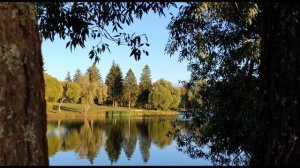 Е Евтушенко  Очарованья ранние прекрасны #стихиожизни #философскаялирика   #поэты20века