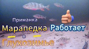 ПРИМАНКА МАРАПЕДКА СРАБОТАЛА В ОЧЕРЕДНОЙ РАЗ ОХОТА НА ХИЩНИКА СУДАКА ЩУКУ БЫЛА НА РАТТЛИНЫ БАЛАНСИРЫ