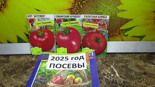 ПОСЕВЫ 2025 - 13. Какие сибирские проверенные томаты я буду сеять для раннего урожая в теплице?