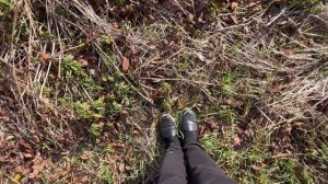 Новый участок. Питомник растений.