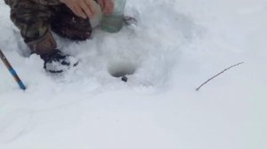 Зимняя рыбалка на реке Тура 05.01.2025