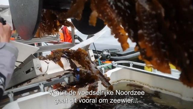 Smart use of the Northsea (NL)