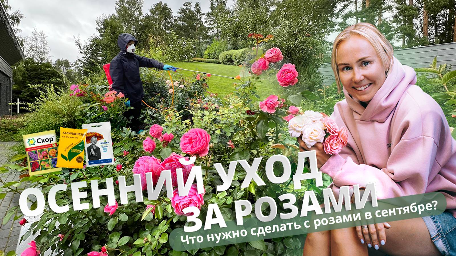 Осенний уход за розами. Что нужно делать в сентябре? смотреть онлайн