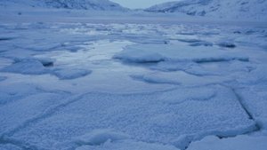 7042027-uhd_3840_2160_24fps