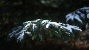 7060328-uhd_2560_1440_25fps