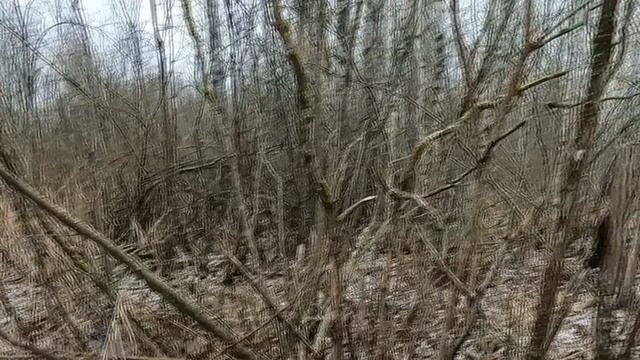 Охота с Добычем смотреть онлайн