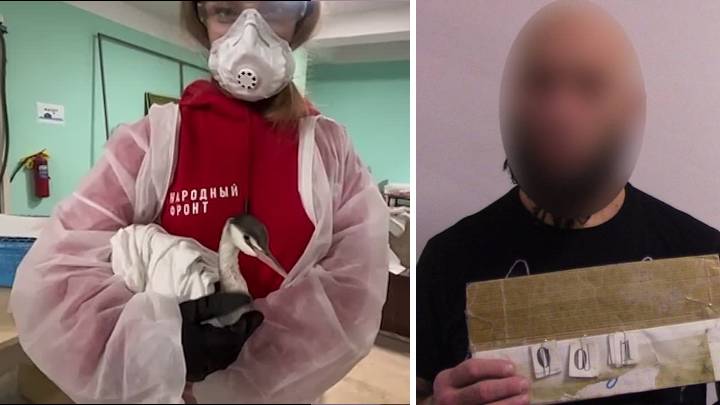 Вот так Новогодний гость!     Волонтеры из Крыма помогают пострадавшим от мазута птицам