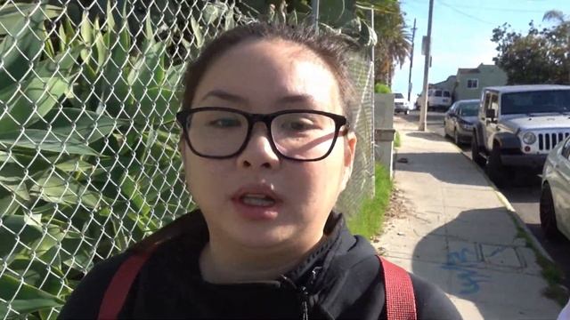 Muddy Paw Cafe and Monty's Good Burger | Weekend with a Shiba Inu Vlog смотреть онлайн