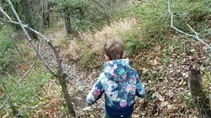 Прекрасное далеко