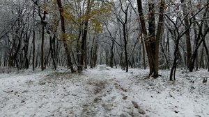 6532471-uhd_3840_2160_30fps