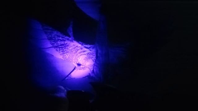 мой Банши светится?