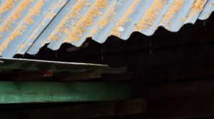 МОЛОДАЯ СЕМЬЯ ЖИВЁТ НА ЗАИМКЕ И СТРОИТ УСАДЬБУ СВОЕЙ МЕЧТЫ | ЗАКУПИЛИ СТРОЙМАТЕРИАЛ | ПИЩА С ОГОРОДА