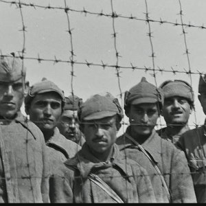 "На рассвете"