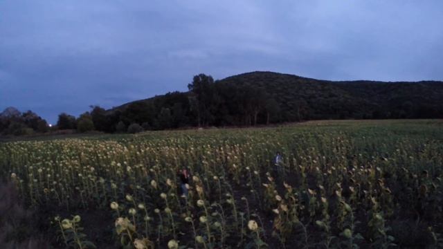 Болгария 2015 смотреть онлайн