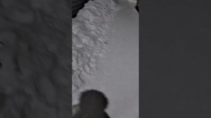 VID20250122183953.mp4